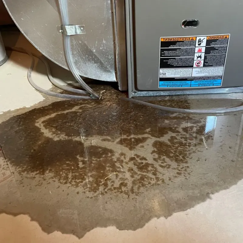 Pipe Burst and Leak Restoration in Centre County, PA