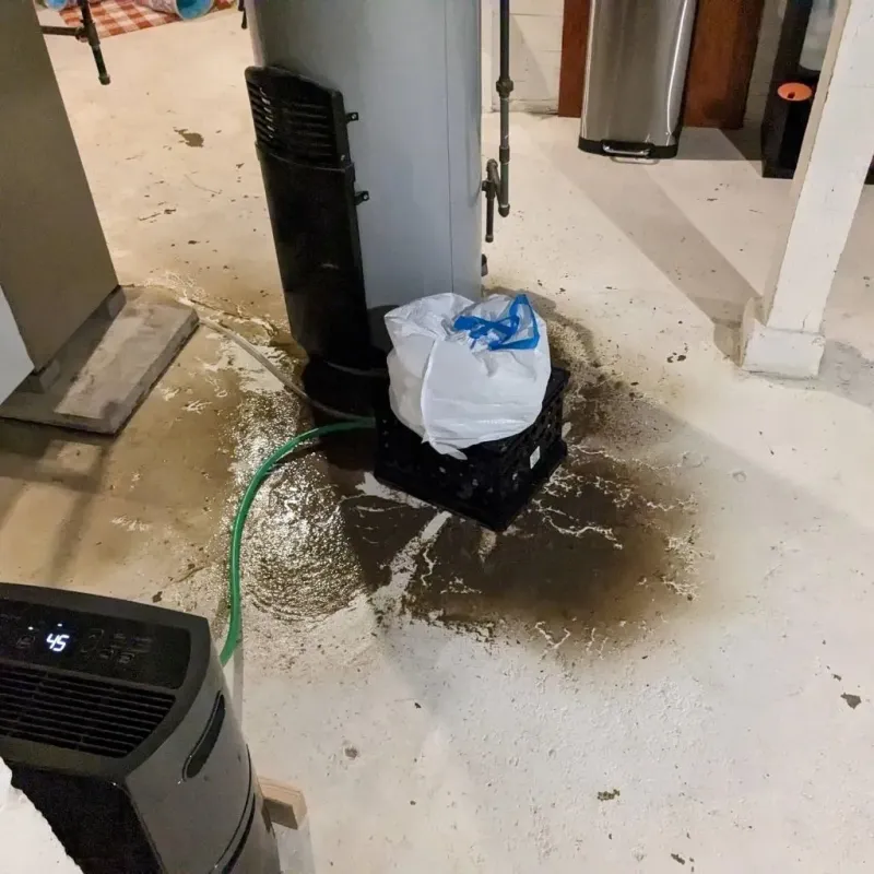 Sewage Backup Cleanup Service in Centre County, PA